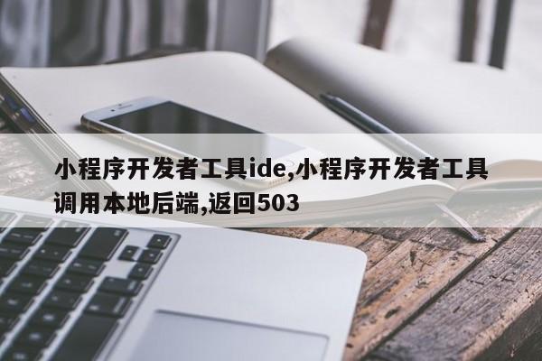 小程序开发者工具ide,小程序开发者工具调用本地后端,返回503